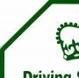 DSA Approved Driving Instructor